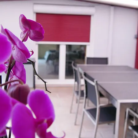 Seignemartin Лион